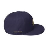 UofM Snapback Hat